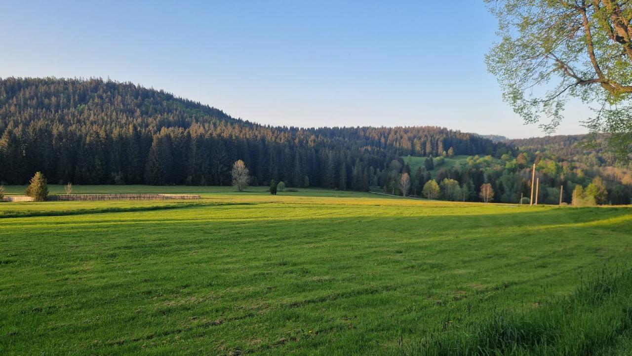 Two Almberg - Mitterdorf-mitterfirmiansreut Lejlighed